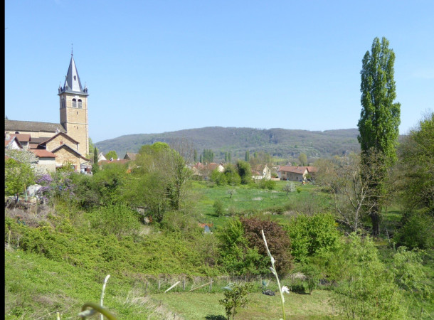 VENDRE OU ACHETER à HIERES SUR ABMY 38118